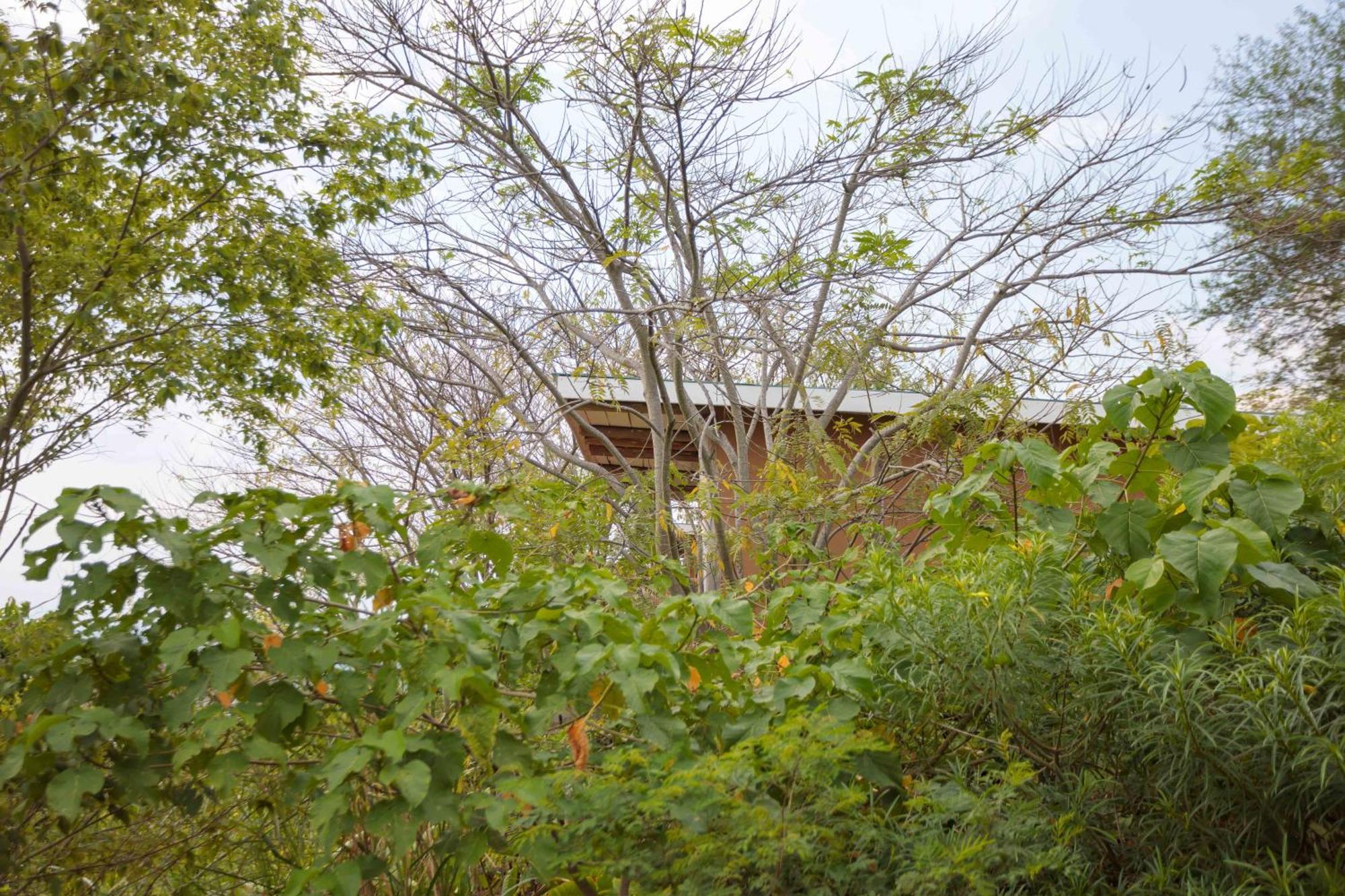 Lake Mwamba Lodge Kasenda Extérieur photo